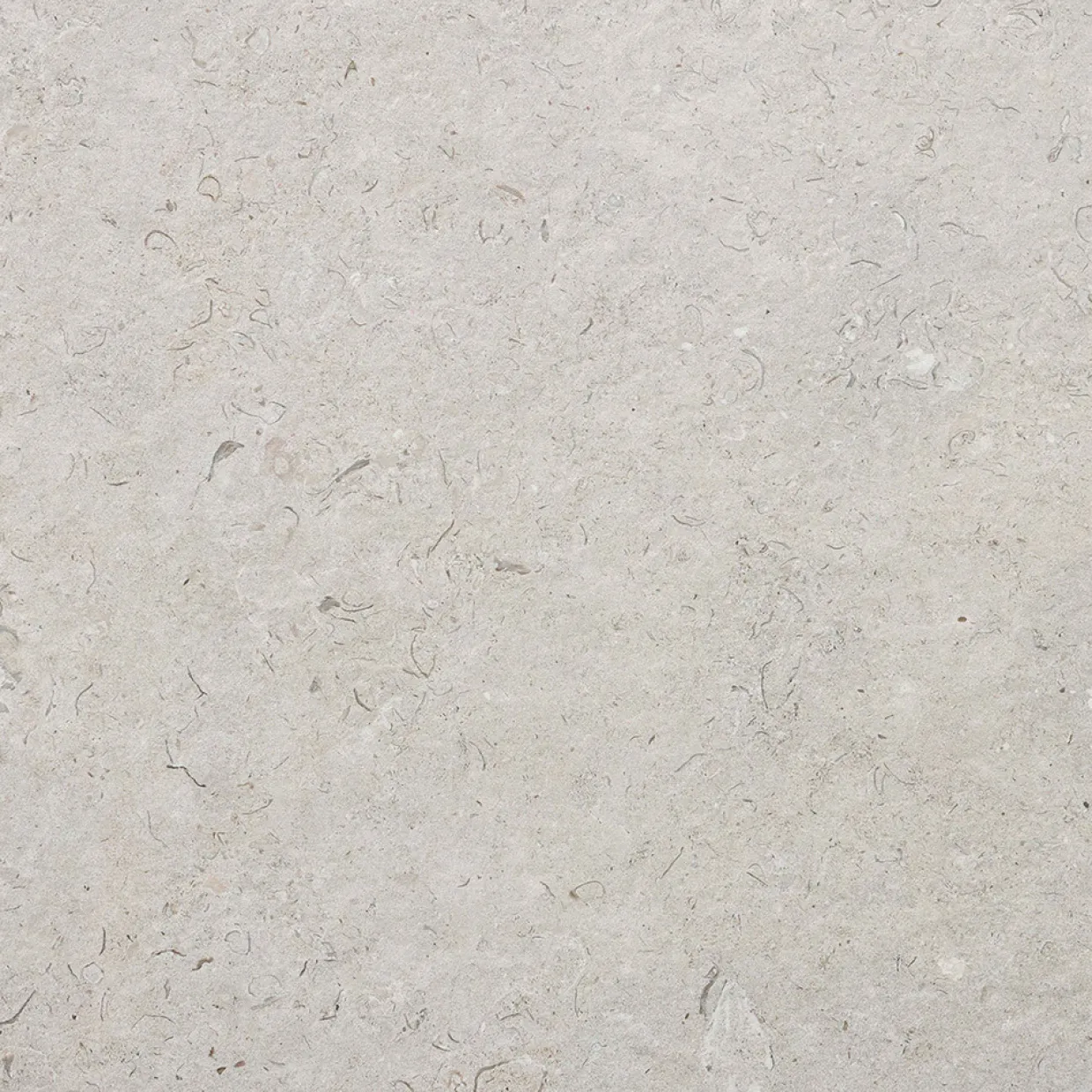 Kalksten Norr Pearl 60x60 cm