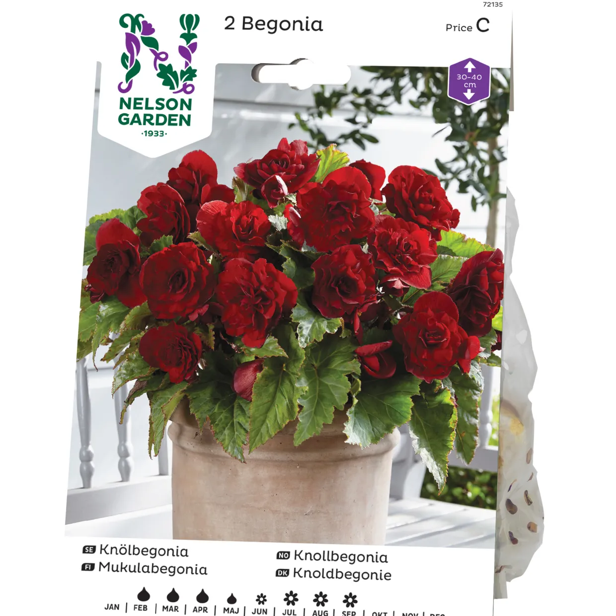Knölbegonia Nelson Garden 72135 Bygghemma.se