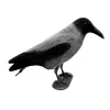 Kråka