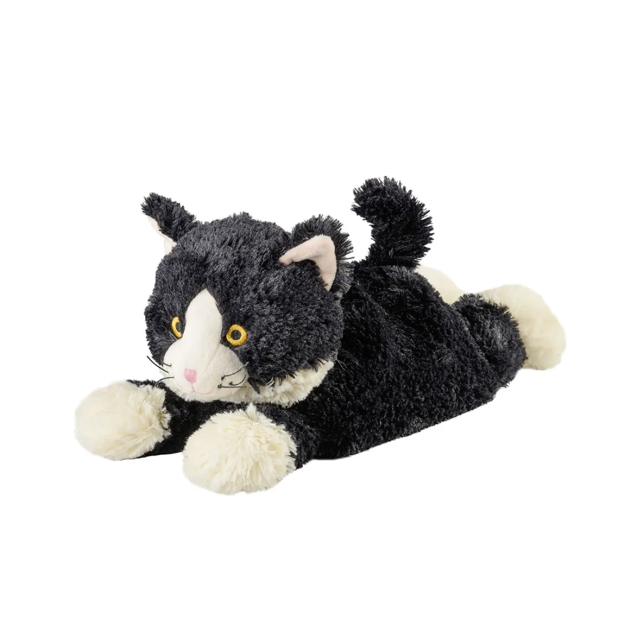 Liggandes Katt