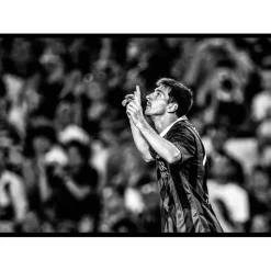 Linoel Messi FC Barcelona 2013 No1