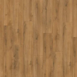 Living Oak 1-stav