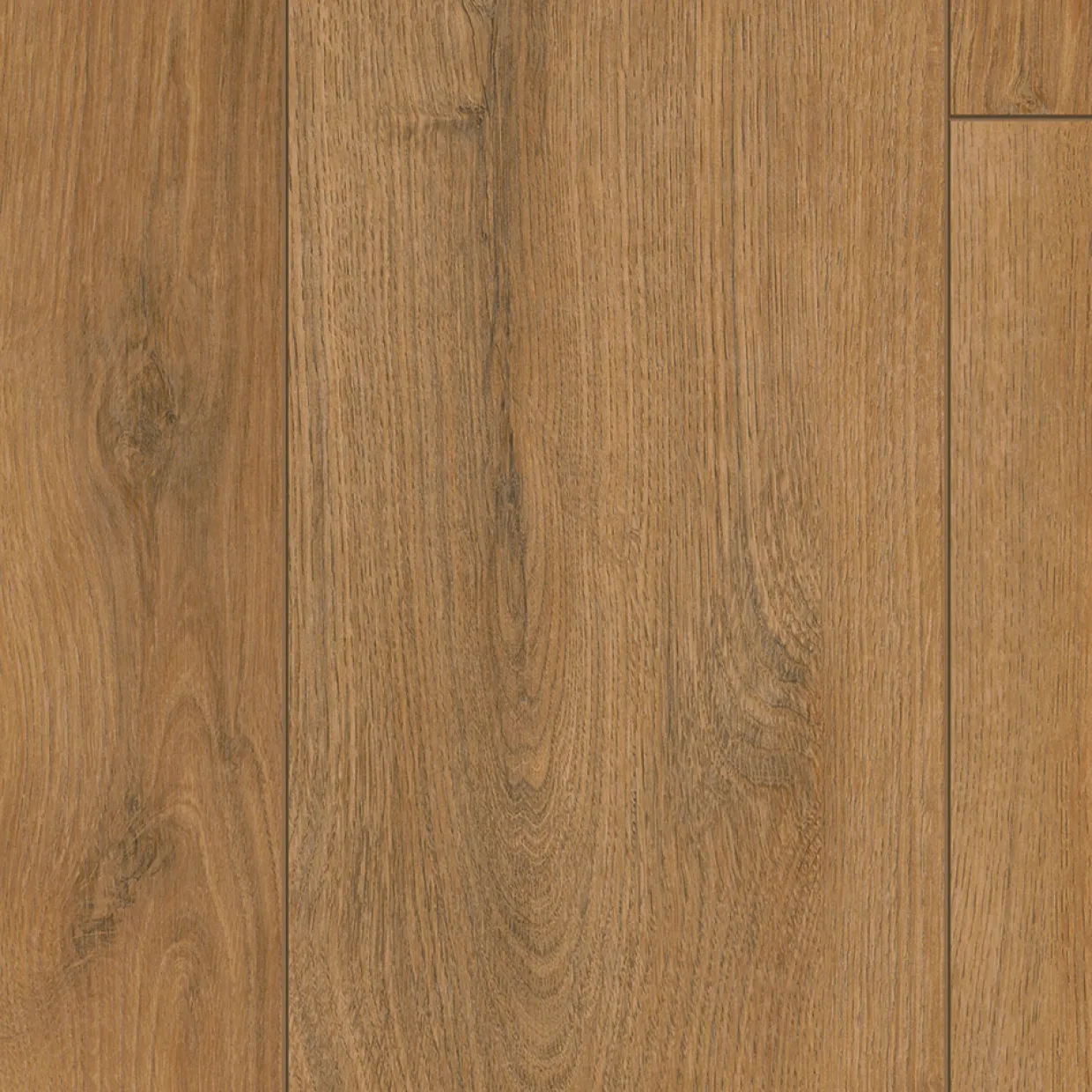 Living Oak 1-stav