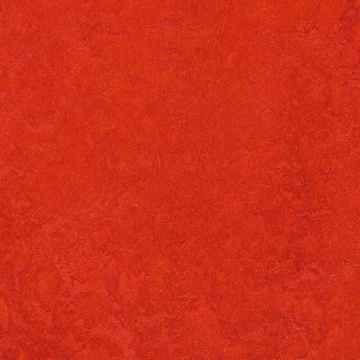 Marmoleum Click Scarlet 30x30cm med Klicksystem