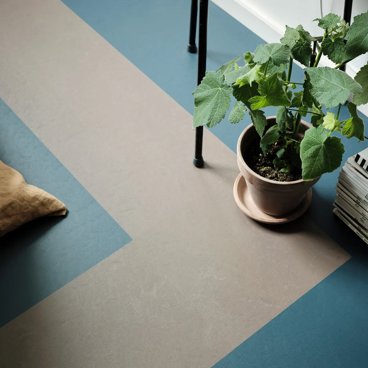 Marmoleum Click 30x30 cm Petrol med Klicksystem