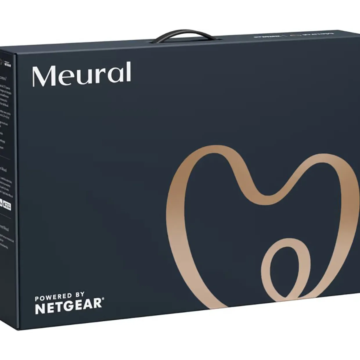 Meural Canvas 21-tum Walnut Winslow