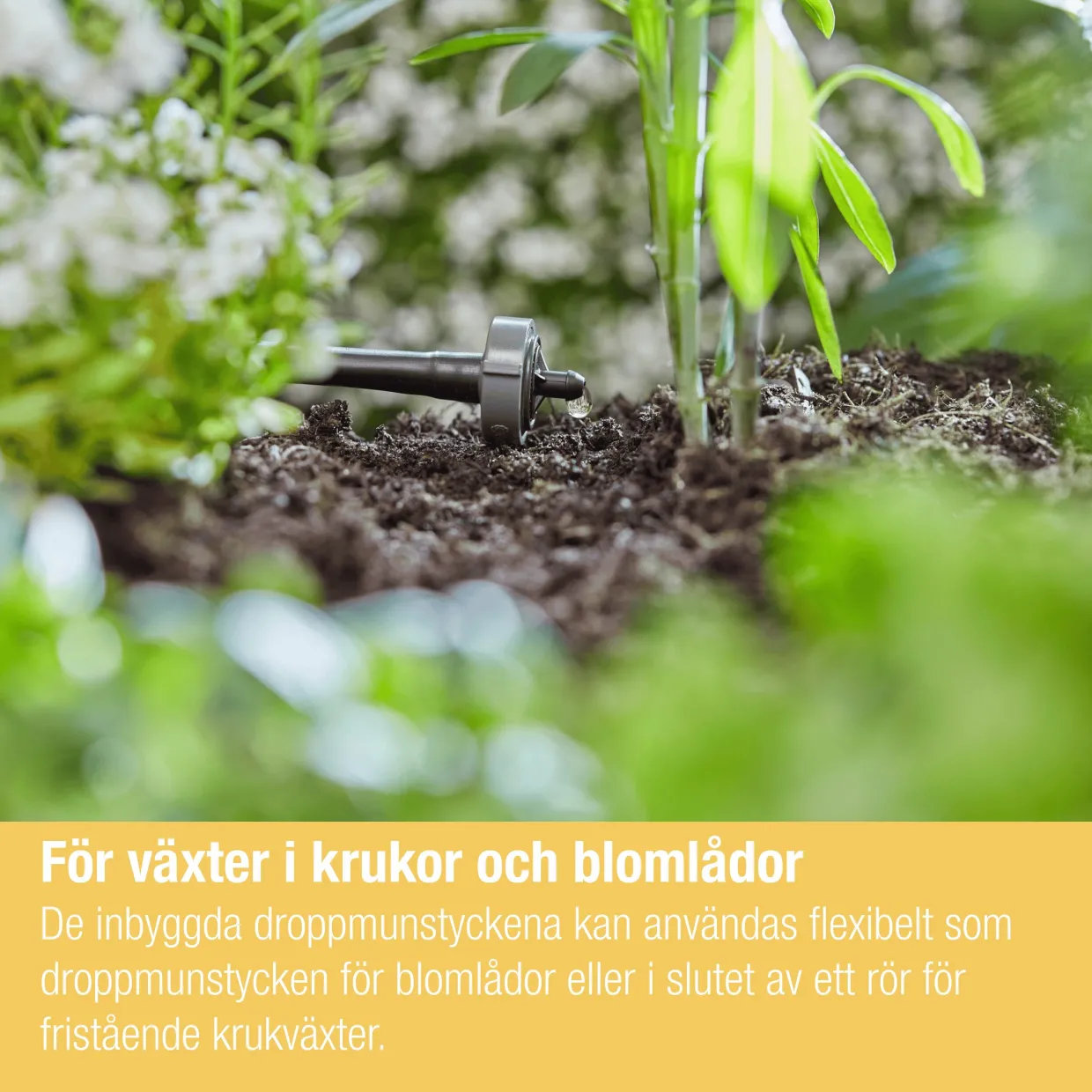 Micro-Drip Balkong