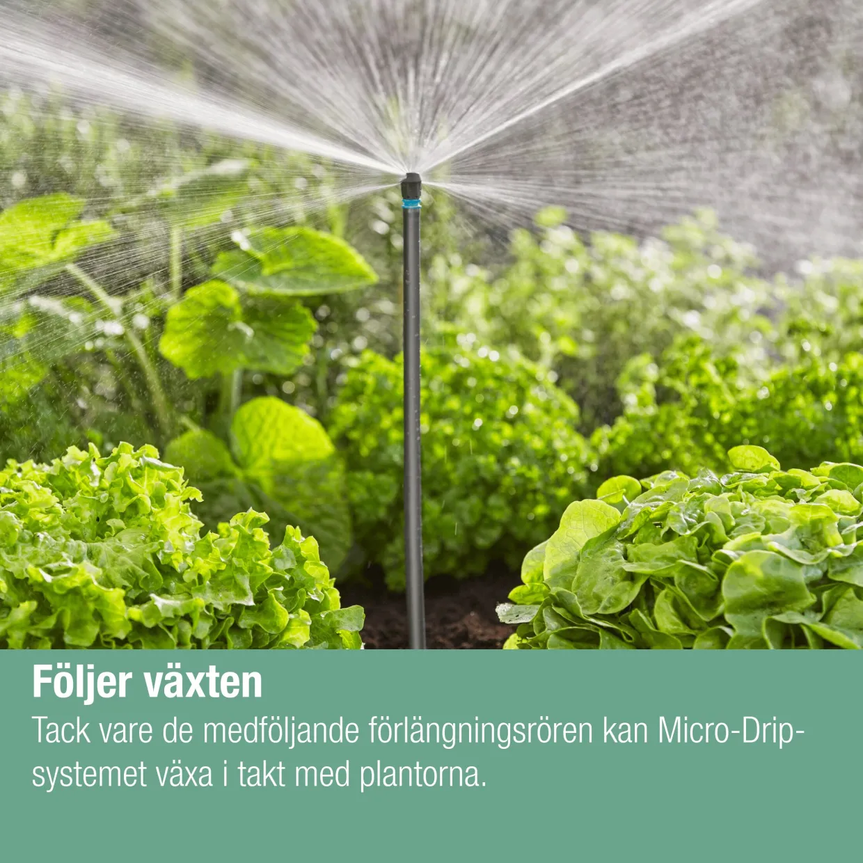 Micro-Drip Blom/Köksträdgårdar