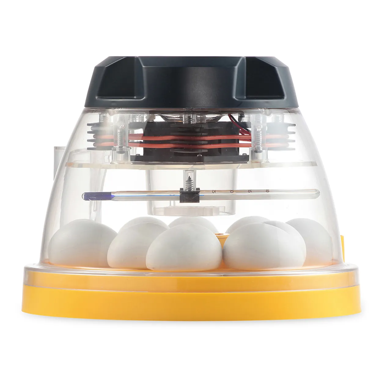 Mini II Eco