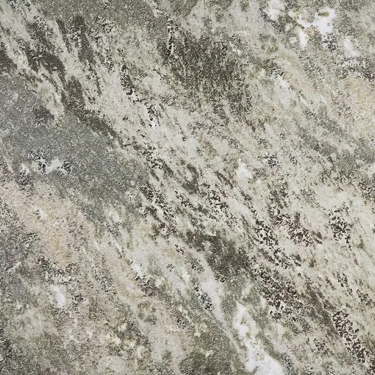 M66 Kolmården 60x60 cm