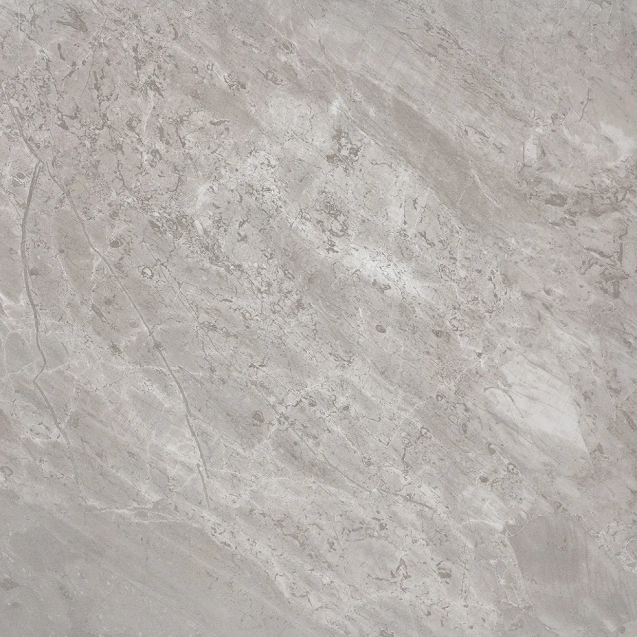M66 Marais Light Grey 60x60 cm