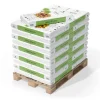 Naturtorv 48x50 L