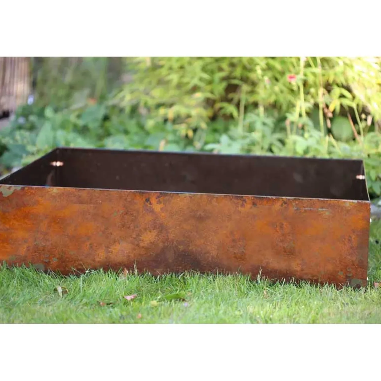 Odla 800x600 mm