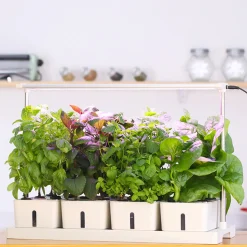 Odlingslådor Med Växtlampa & Startkit för Hemmaodling