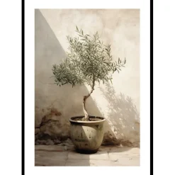 Olive Tree Mediterranean No1