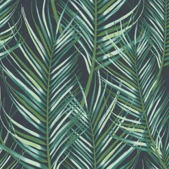 Palmblad 100558