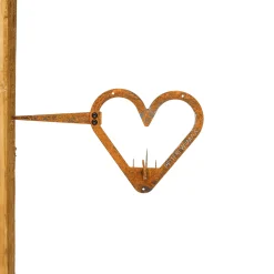 Petteri Wiimaa Heart