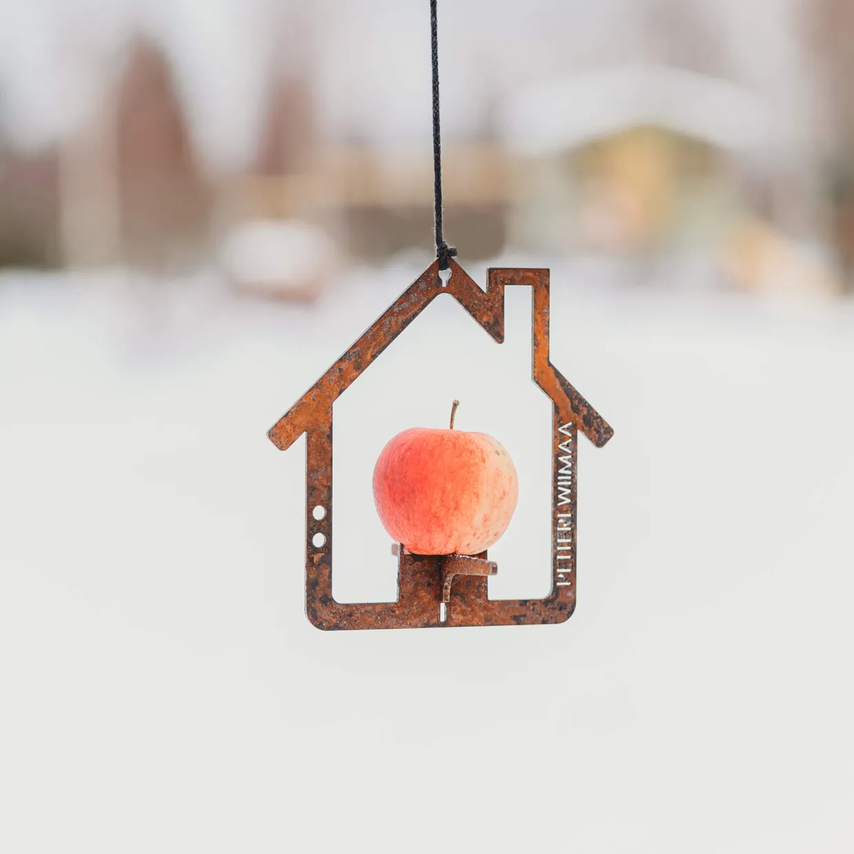 Petteri Wiimaa Home