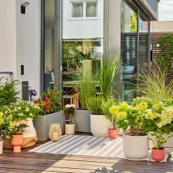 Premiumpaket För Terrass med Vattenfördelare & Bevattningsdator