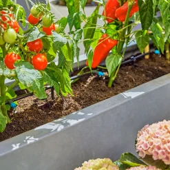 Premiumpaket För Terrass med Vattenfördelare & Bevattningsdator