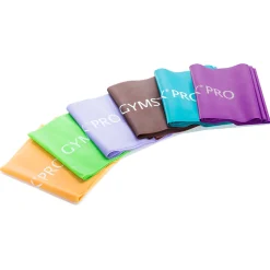 Pro Exercise Band 2,5 m