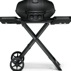 PRO285-X Bärbar Phantom