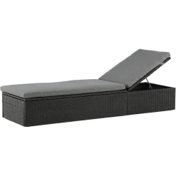 Quad Svart Konstrotting Utomhus
