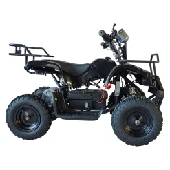 Ranger 1000W