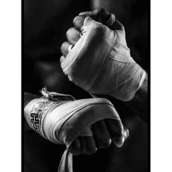 Ready To Fight