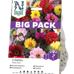 Red Skin BigPack