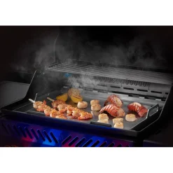 Rostfri F/L425, Rogue 425