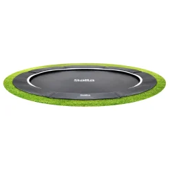 Royal Baseground Sport