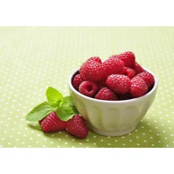 Rubus Elektra E