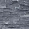 Sarek Black