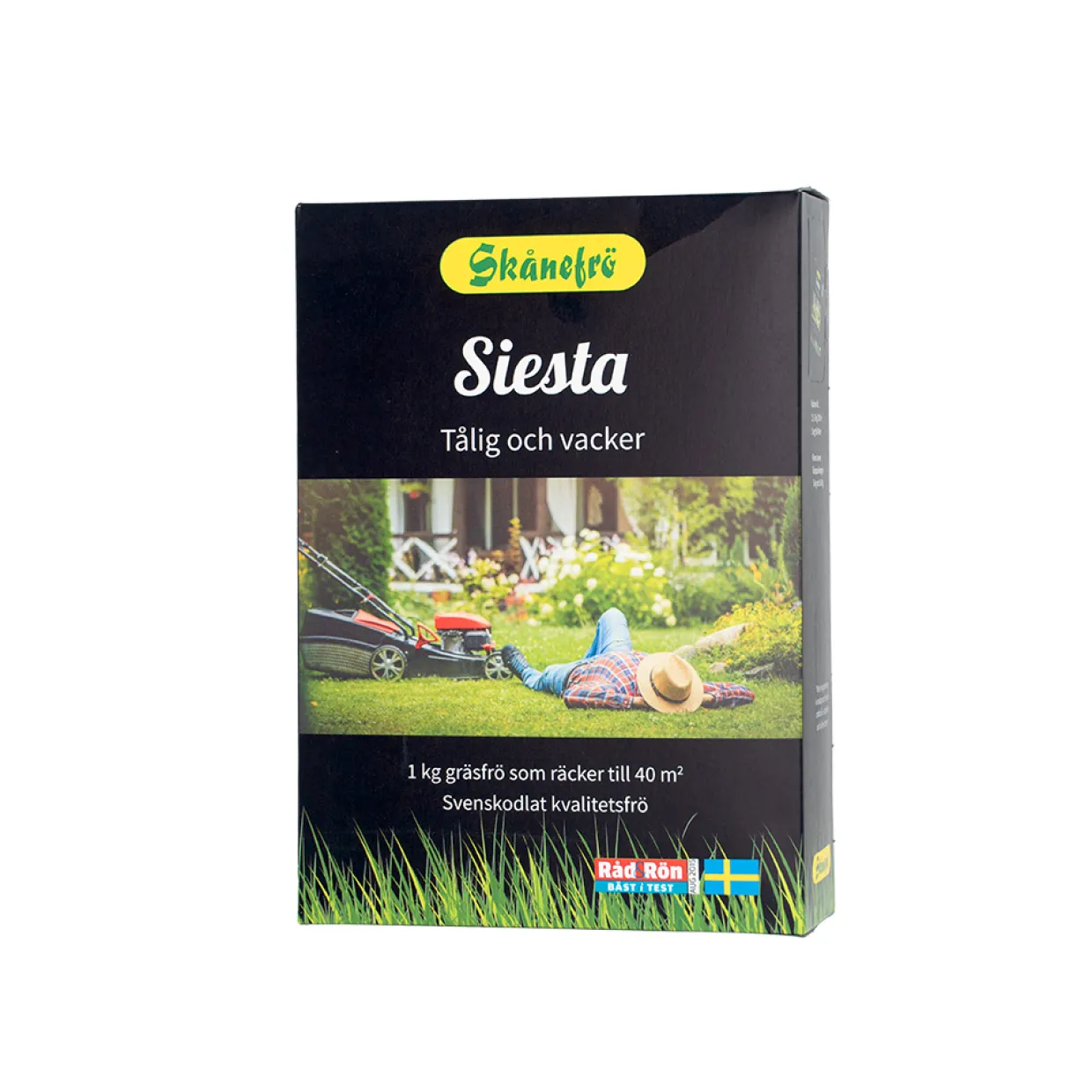 Siesta