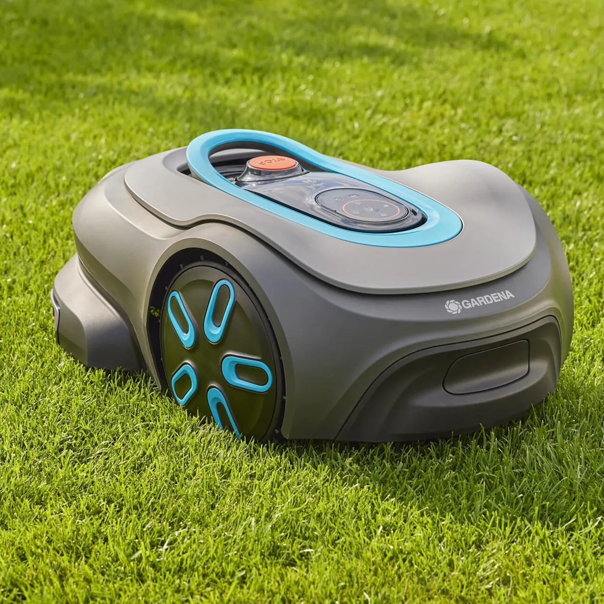Smart Sileno Max 800