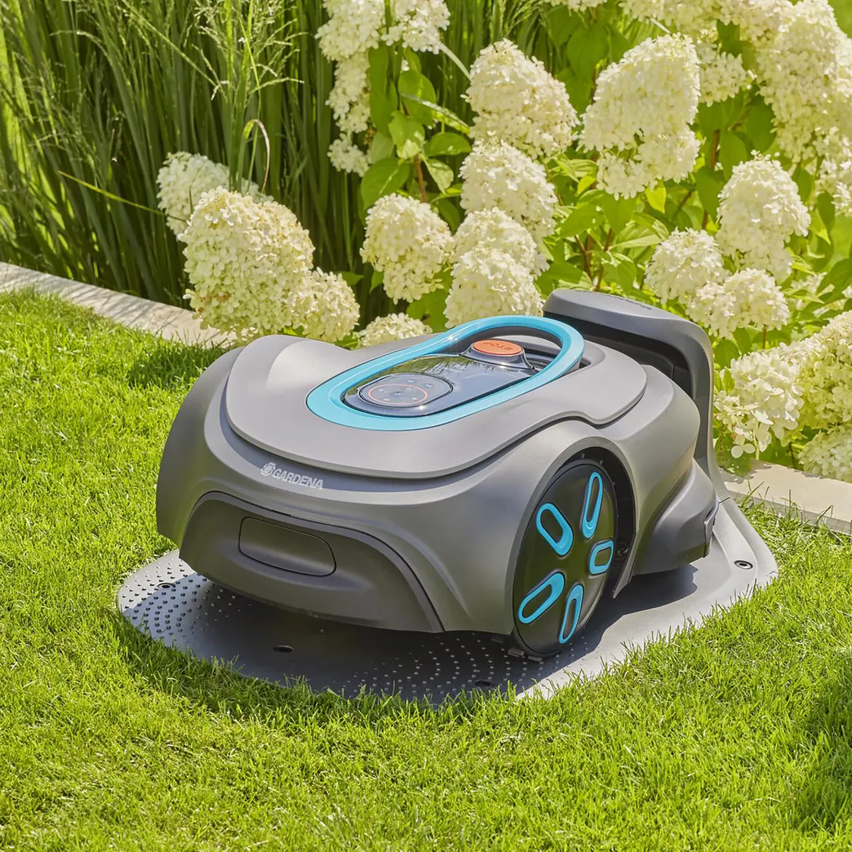 Smart Sileno Max 800