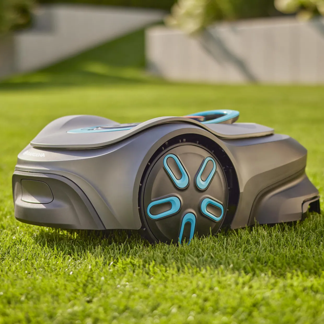 Smart Sileno Max 800