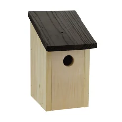 Småfågel med Pulpettak