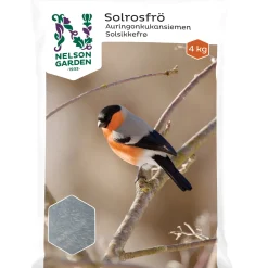Solrosfrö Strimmigt 4 kg