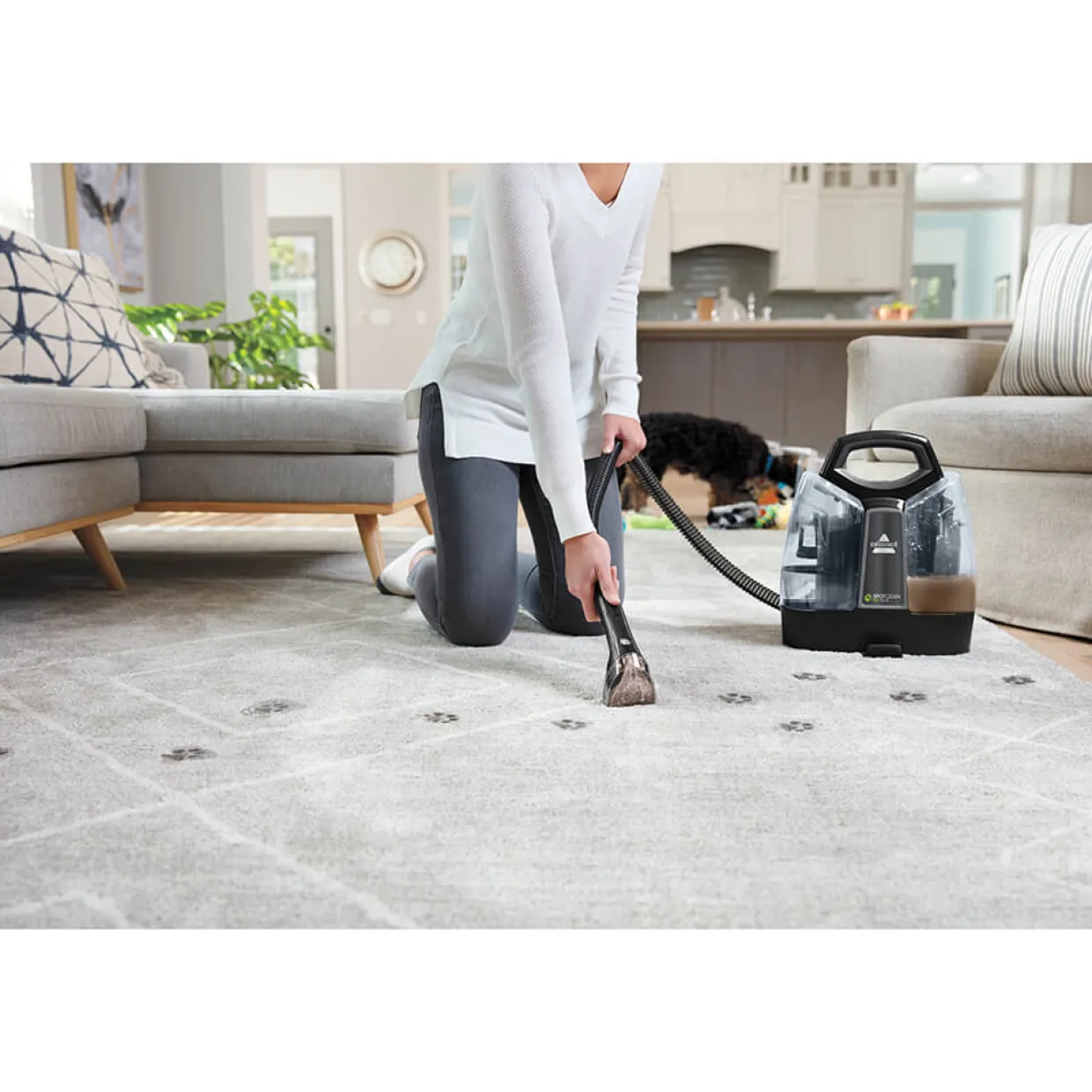 SpotClean Pet Plus Textilvårdsmaskin Mattvätt