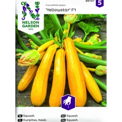 Squash Yellowstar F1
