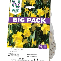 Storkronig Carlton Big Pack