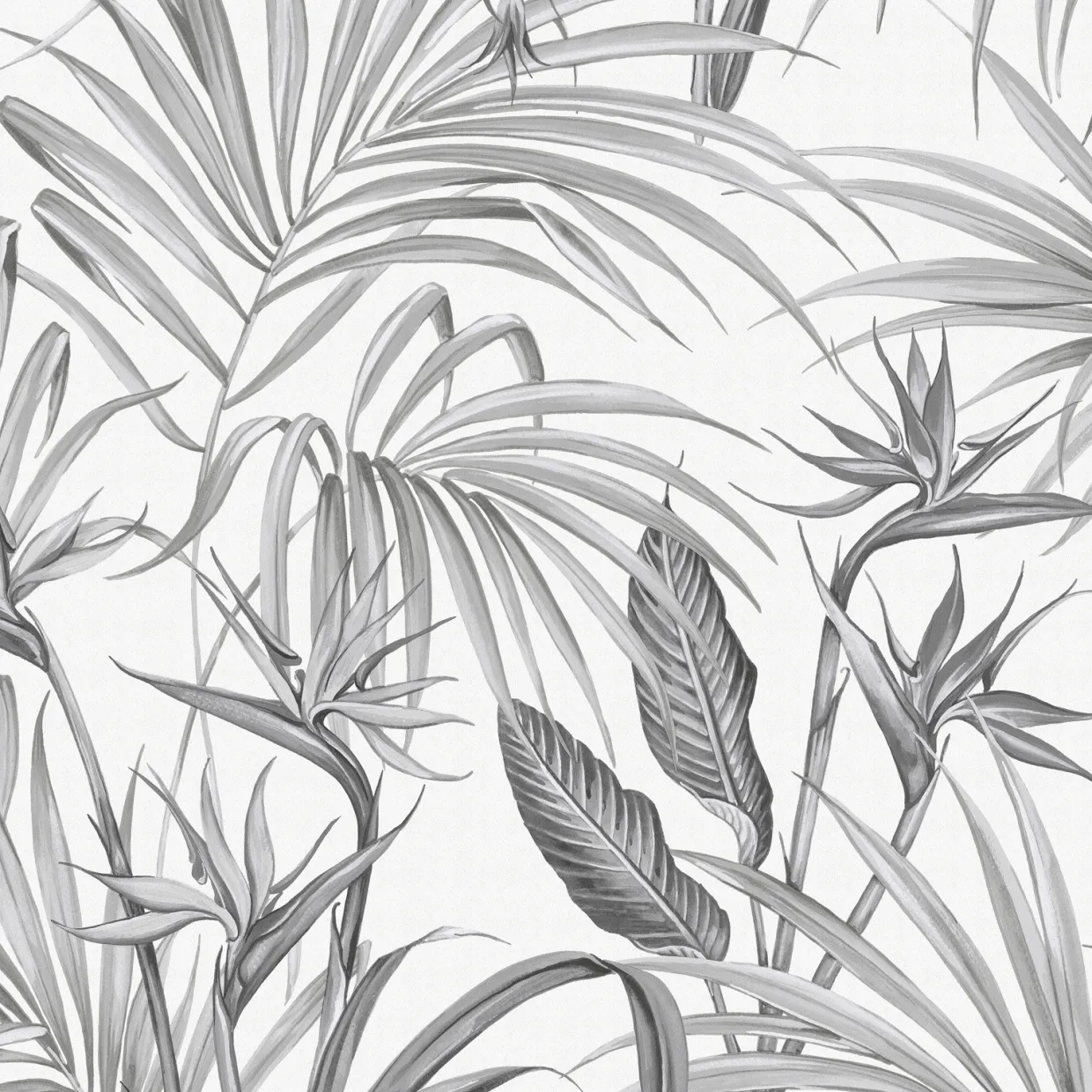 Strelitzia Leaves Grå
