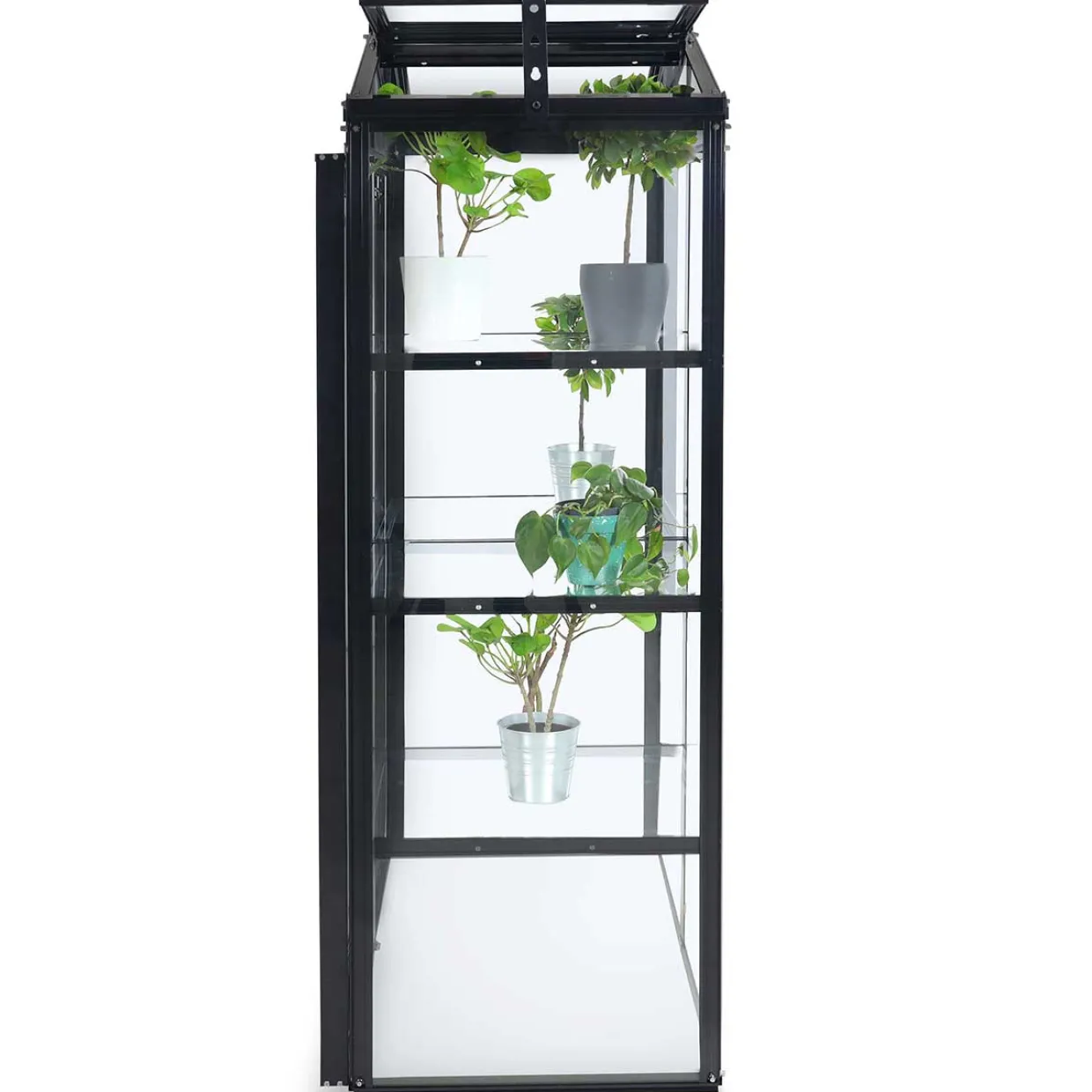 Svart Rektangulär Odlingsvitrin mot Vägg med Säkerhetsglas, 111x61x170 cm