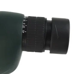 T70