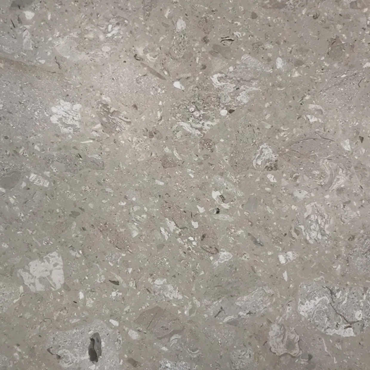 Terrazzo Perlato Royal Slipad 31x31 cm