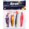 Ätran