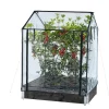 Transparent Plast, Passar till Odlingskrage - 80x120cm, Höjd 110/130 cm