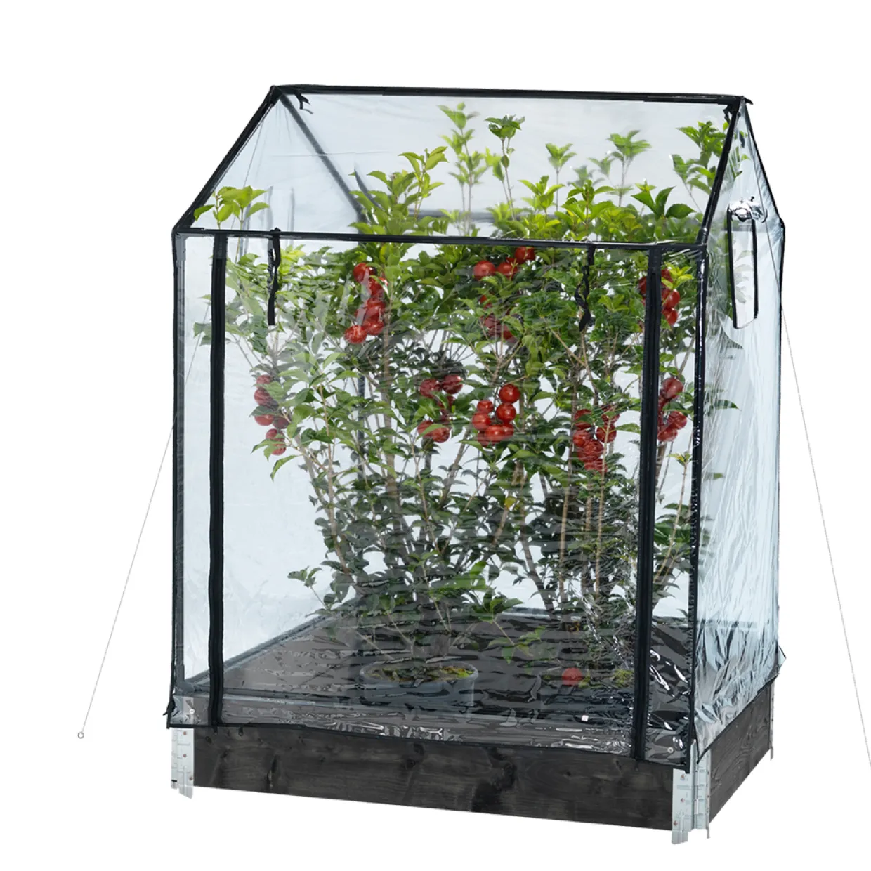 Transparent Plast, Passar till Odlingskrage - 80x120cm, Höjd 110/130 cm
